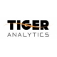 Tiger Analytics